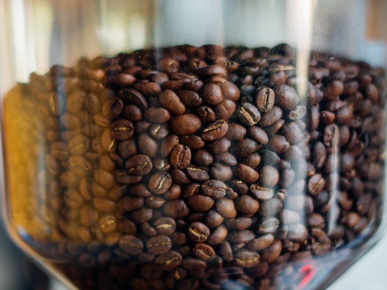 Interested in Arabica Coffee Farming? Here’s Why You Should Do It