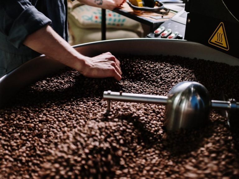 Arabica Coffee: Exploring Its Popularity in the Global Market